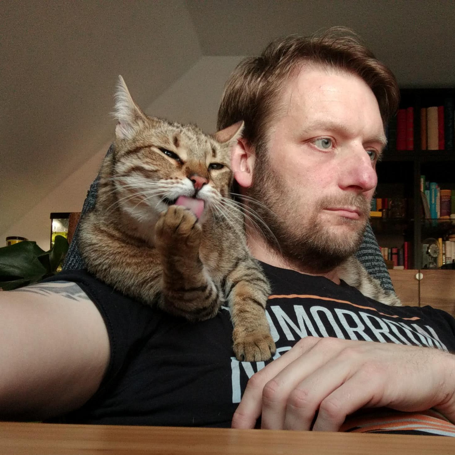 Become a member of Mautic 2 Photo of a man working at a computer wearing a dark tshirt, and a cat sitting on his shoulder licking its paw